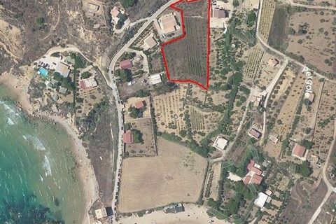 Helårsgrund i Realmonte, Agrigento, Realmonte - € 40.000 | Ref: Pergole Judith - foto 22